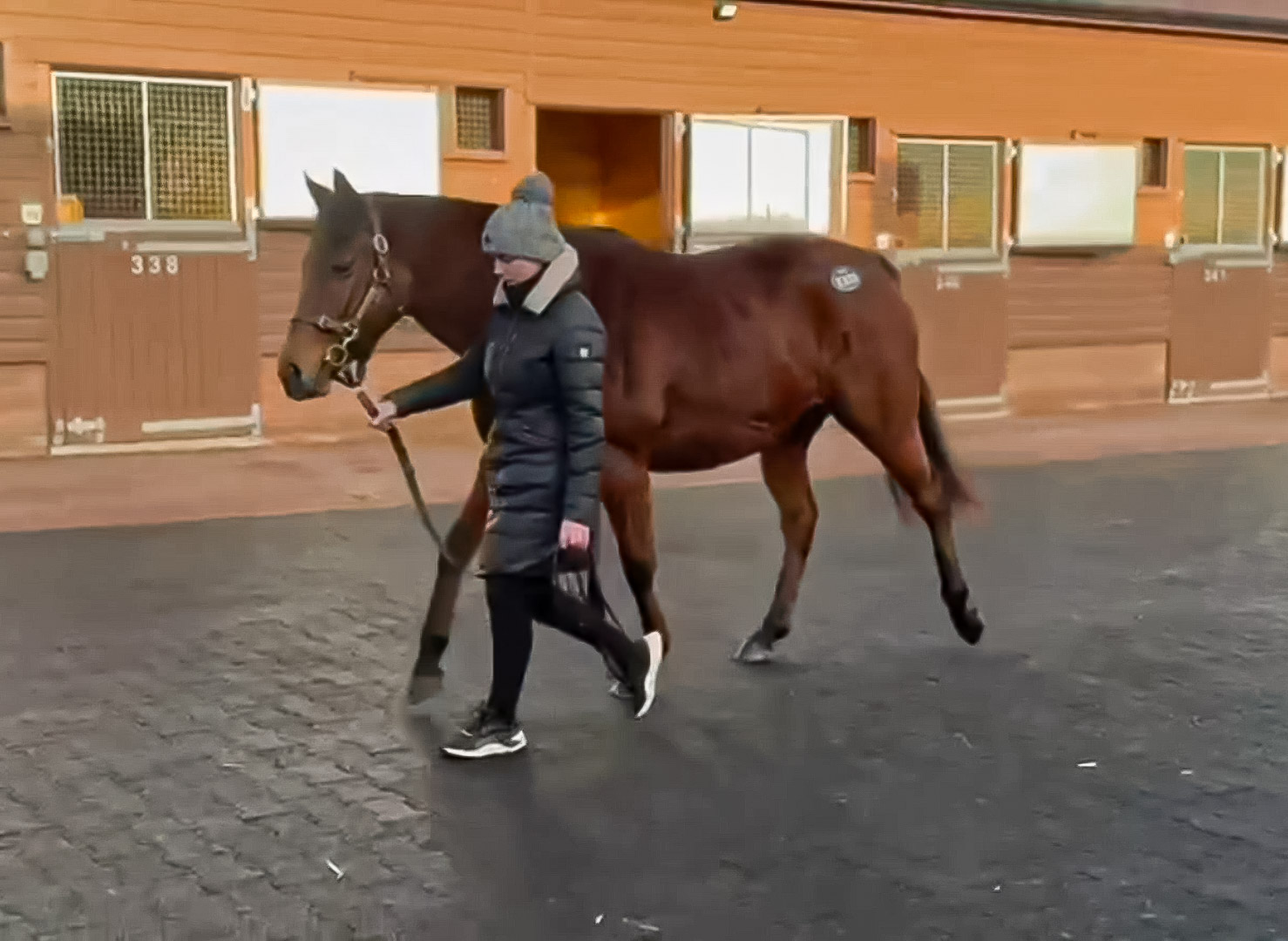 SWEETEST SONG (IRE) photo