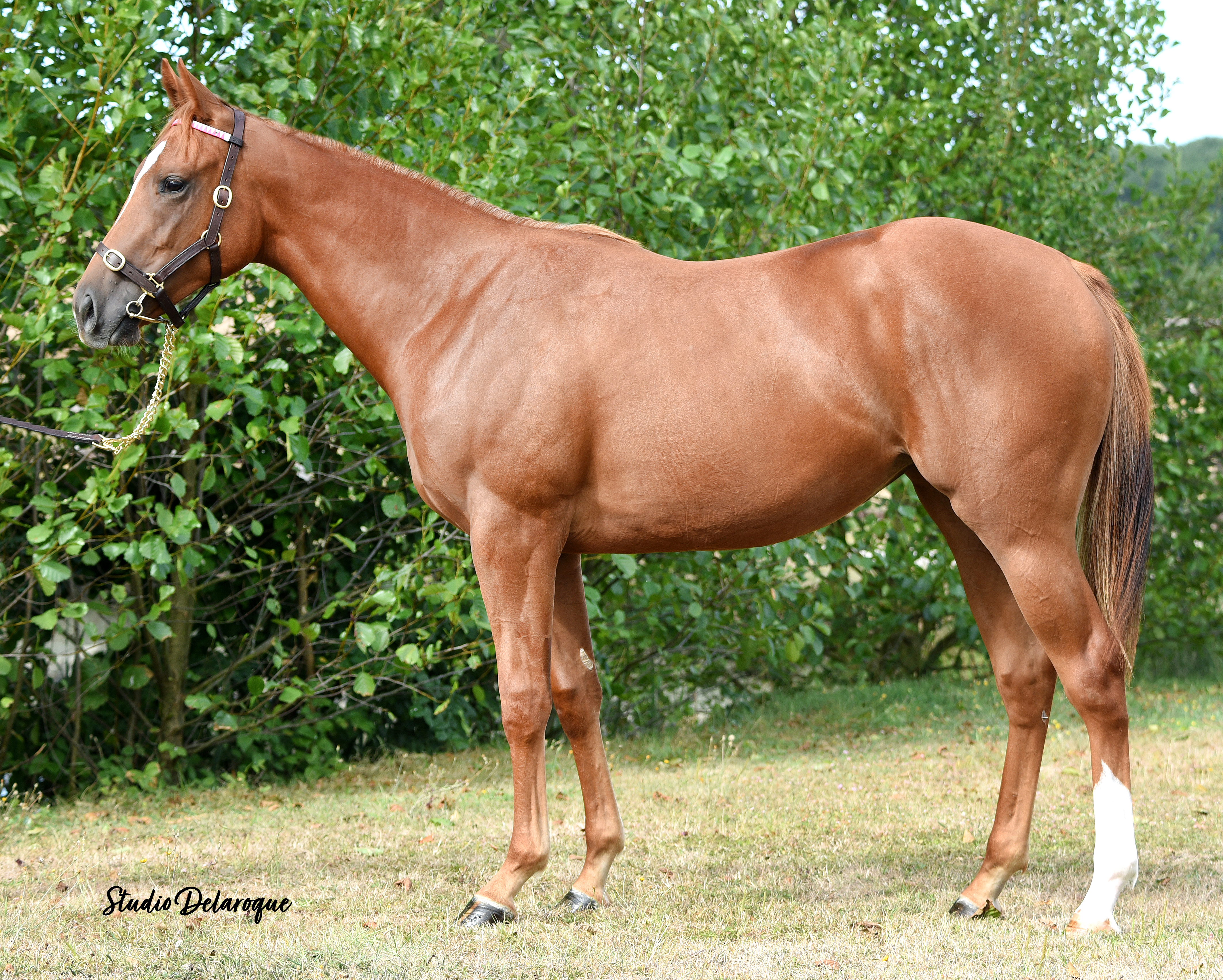 ETINELLY (FR) . photo