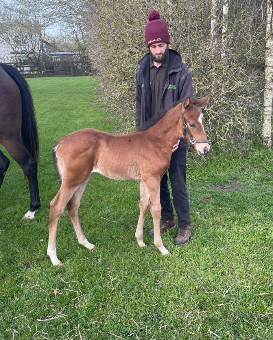 69be5e229d77b.jpg photo