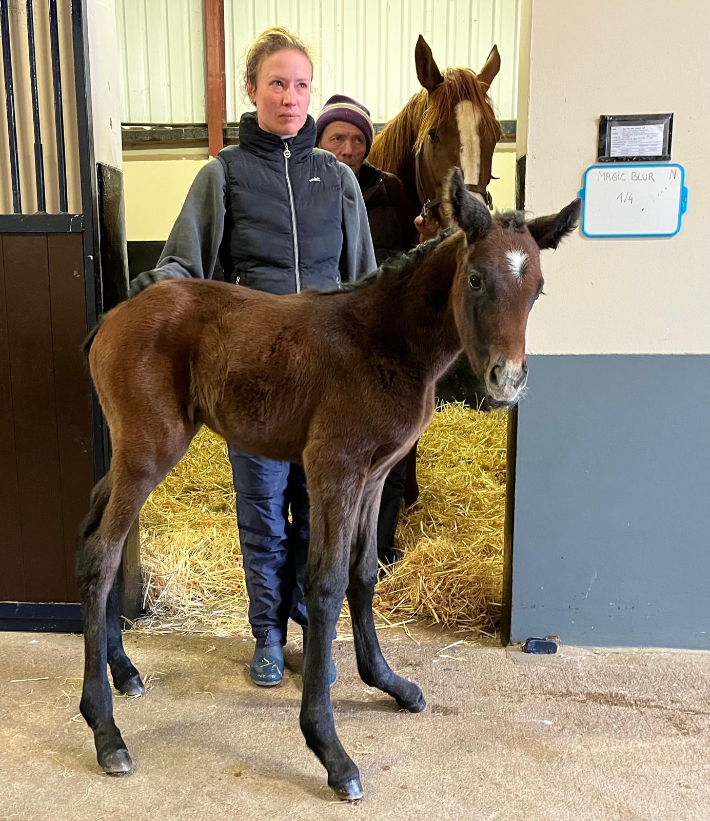 69da426322233.jpg photo